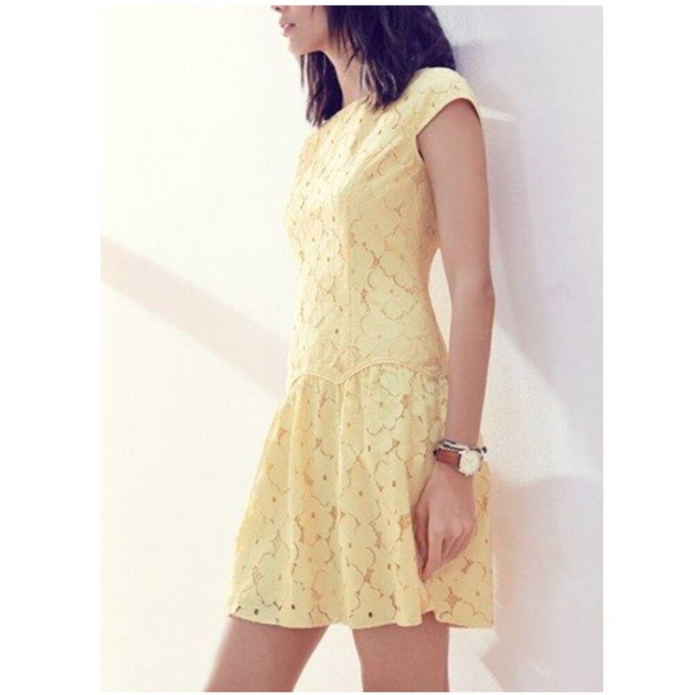 Adrianna Papell Yellow Lace Drop-Waist Dress